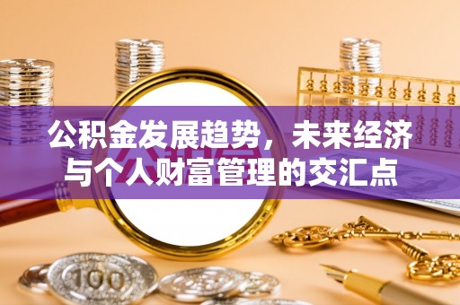 遵化公积金发展趋势，未来经济与个人财富管理的交汇点