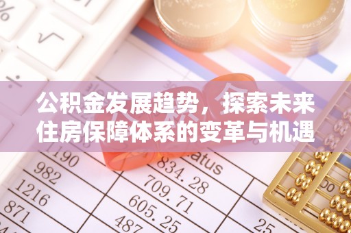 遵化公积金发展趋势，探索未来住房保障体系的变革与机遇