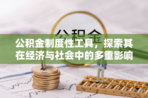 遵化公积金制度性工具，探索其在经济与社会中的多重影响