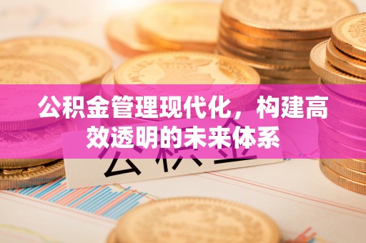 遵化公积金管理现代化，构建高效透明的未来体系
