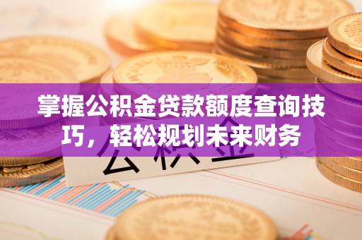 遵化掌握公积金贷款额度查询技巧，轻松规划未来财务