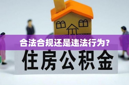 遵化合法合规还是违法行为？