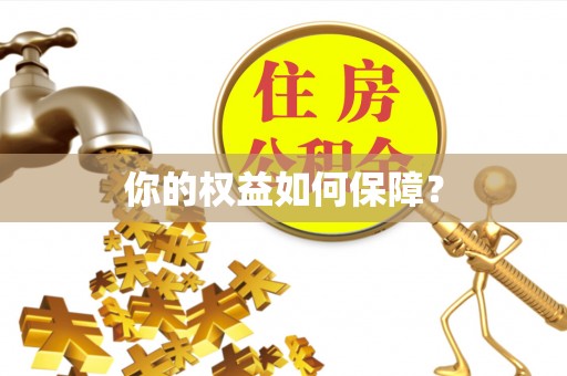 遵化你的权益如何保障？